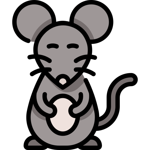 rato